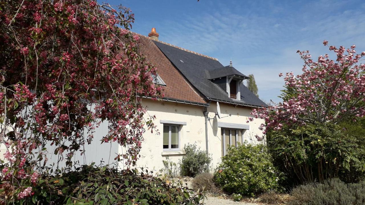 Gite La Fortaiserie Rille Экстерьер фото